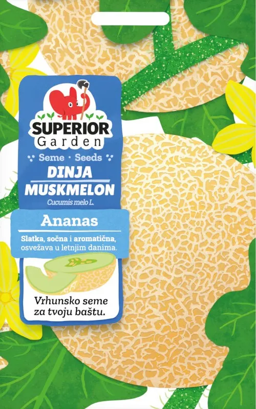 Ananas — Dinja, Hobi garden
