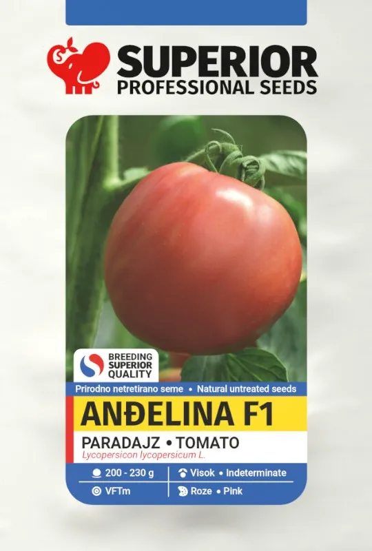 Anđelina F1 — Paradajz, Profesionalna proizvodnja
