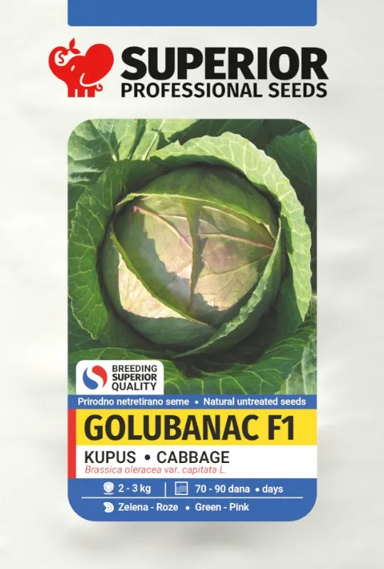 Golubanac F1 – superior-seeds