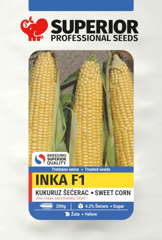 Inka F1 – superior-seeds