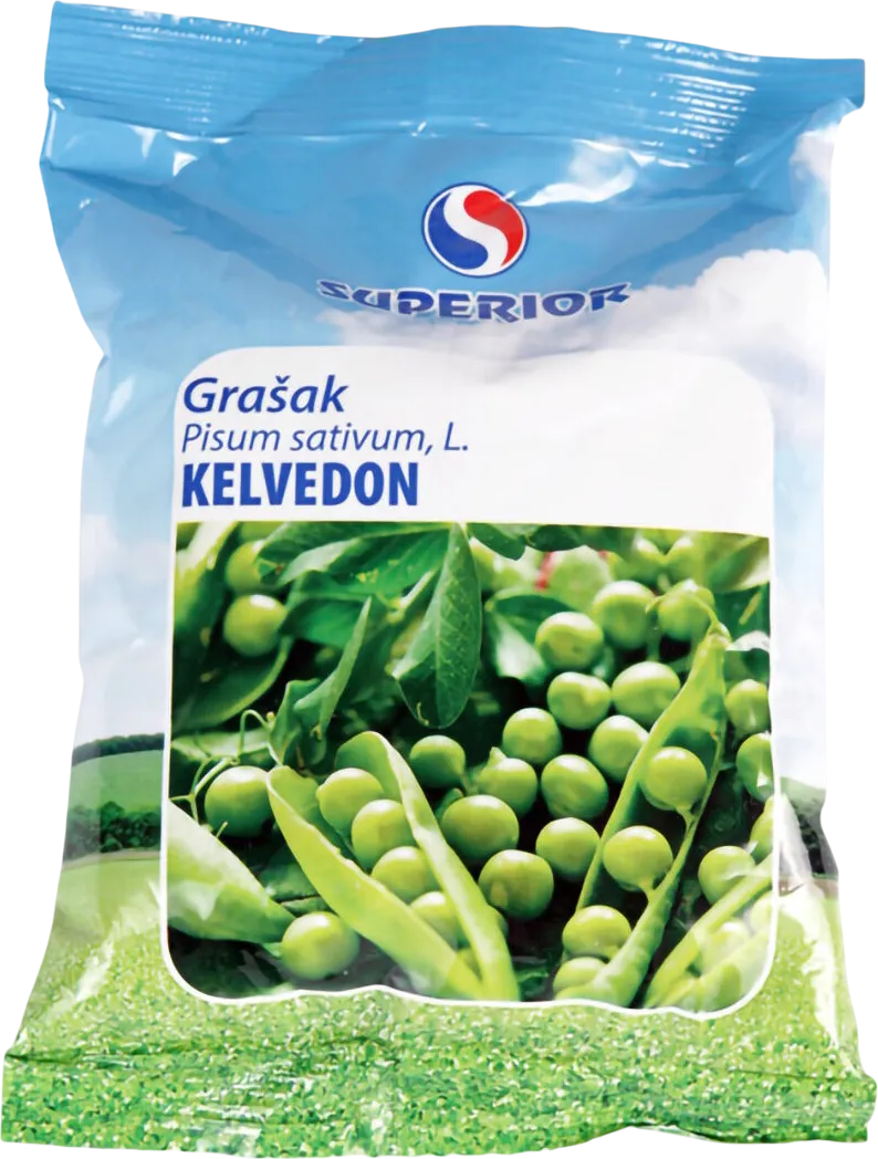 Kelvedon – superior-seeds