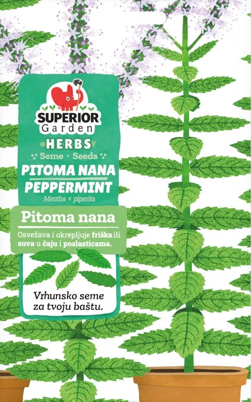 Pitoma nana – superior-garden