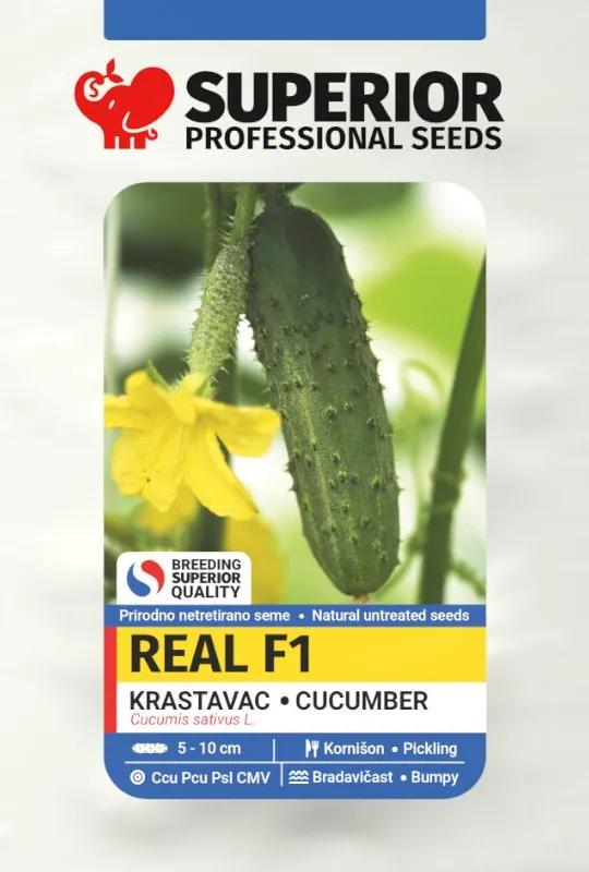 Real F1 – superior-seeds