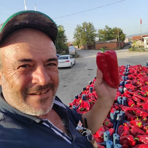 Paprika u proizvodnji — Izmir, Turska — fotografija 4