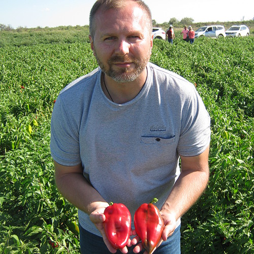 Superior Seeds partneri — Rusija — fotografija 1