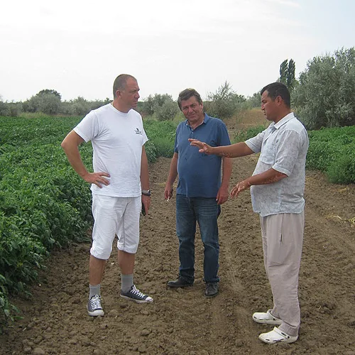 Superior Seeds partneri — Rusija — fotografija 8
