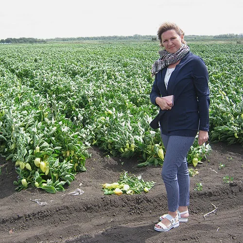 Superior Seeds partneri — Rusija — fotografija 13