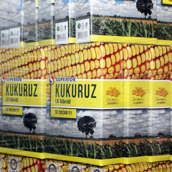 Najprodavaniji LK hibrid kukuruza – Bećar, u pakovanju od 6000 zrna, za 10 ari. Novost na tržištu!