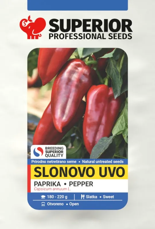 Slonovo uvo