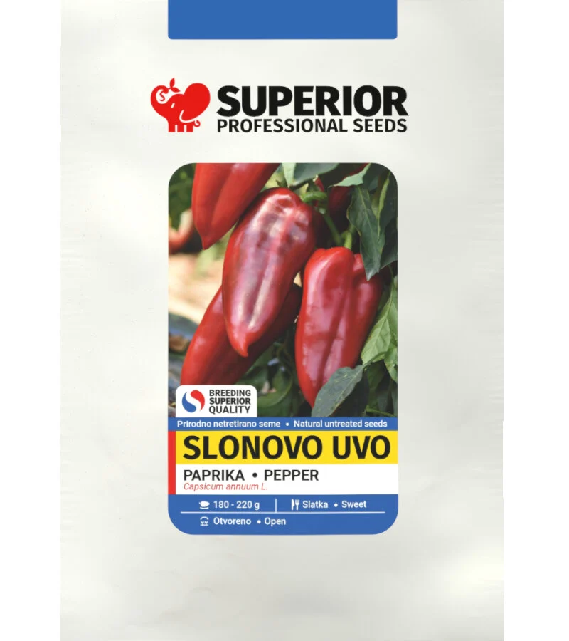 Slonovo uvo — galerija 3