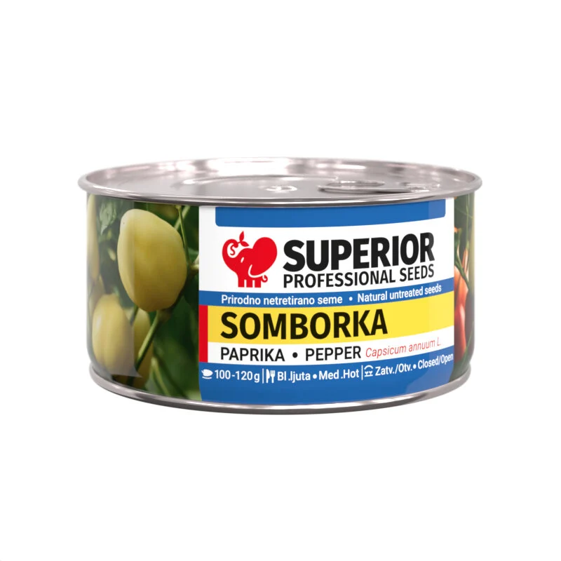 Somborka — galerija 4