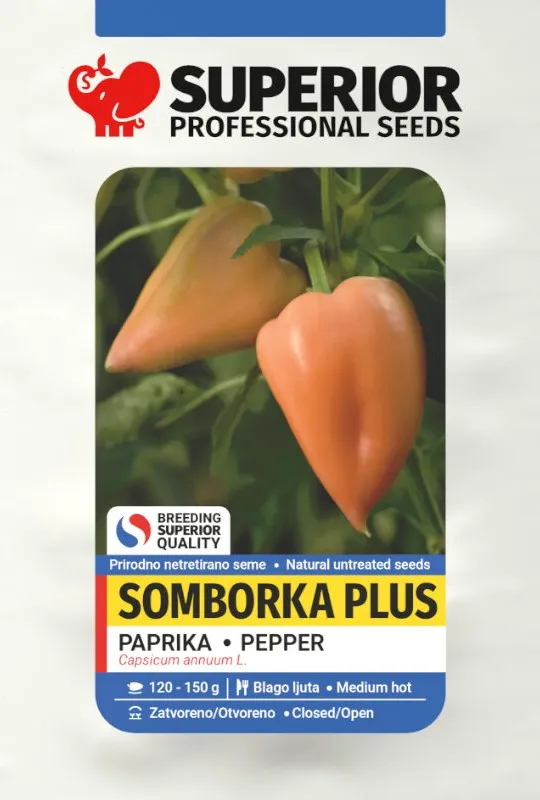 Somborka plus — Paprika, Profesionalna proizvodnja