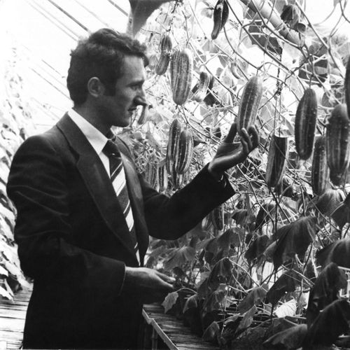 Dr Ivo Đinović među biljkama 1975. godine