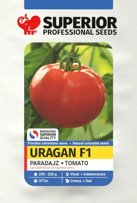 Uragan F1 — Paradajz, Profesionalna proizvodnja