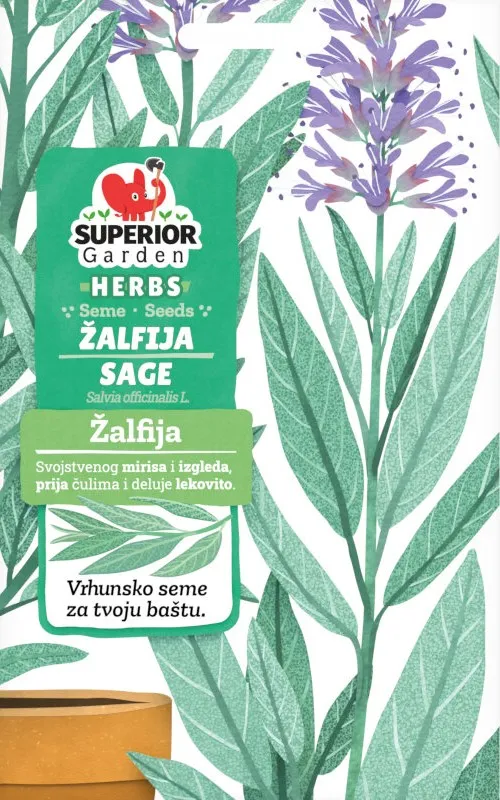 Žalfija — Začinsko bilje, Hobi garden